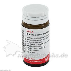RHUS TOXICODENDRON COMP, 20 G – PZN 8787407 из Германии