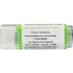 Rhus toxicodendron C30, 2 G – PZN 9185082 из Германии