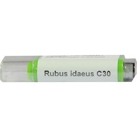 Rubus idaeus C30, 2 G – PZN 9185107 из Германии