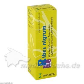 RIBES NIGRUM D 1 Glycerinmazerat Mundspray, 30 ML – PZN 928191 из Германии