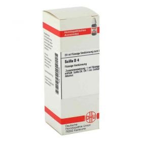 Scilla D 4 Dilution (20 ml) – PZN 2105536 из Германии
