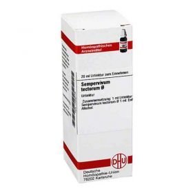 Sempervivum Tect. Urtinktur Dilution (20 ml) – PZN 7459776 из Германии