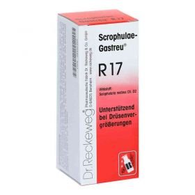 Scrophulae Gastreu R 17 Tropfen zum Einnehmen (50 ml) – PZN 8492468 из Германии