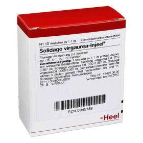 Solidago Virgaurea Injeel Ampullen (10 stk) – PZN 945189 из Германии