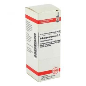 Solidago Virgaurea D 2 Dilution (20 ml) – PZN 2123221 из Германии