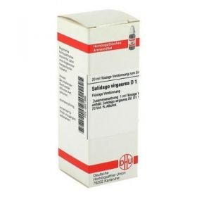 Solidago Virgaurea D 1 Dilution (20 ml) – PZN 2621999 из Германии