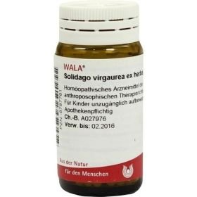 SOLIDAGO VIRGA EX HERB D 4, 20 G – PZN 8787761 из Германии