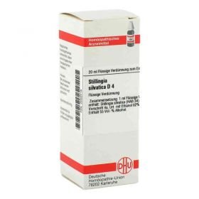 Stillingia Silv. D 4 Dilution (20 ml) – PZN 2016 из Германии
