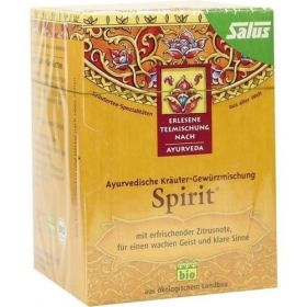 Spirit Kräutertee bio Salus, 15 ST – PZN 1118040 из Германии