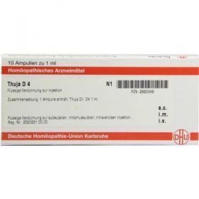 Thuja D 4 Ampullen (10X1 ml) – PZN 2825348 из Германии