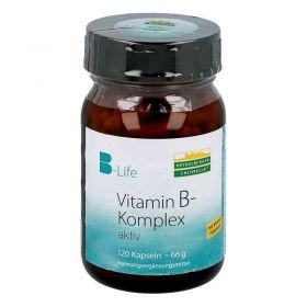 Vitamin B Komplex aktiv Kapseln (120 stk) – PZN 9894594 из Германии