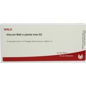 VISCUM MALI e planta tota D 2 Ampullen, 10X1 ML – PZN 2830390 из Германии