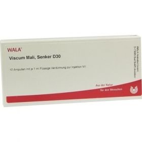 VISCUM MALI Senker D 30 Ampullen, 10X1 ML – PZN 2832650 из Германии