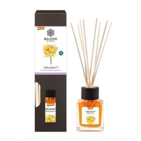 Baldini Raumduft Feelkraft BIO Set, 1 ST – PZN 10093557 из Германии