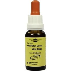Bachblüten Murnauer Tropfen Wild Rose, 20 ML – PZN 7752683 из Германии