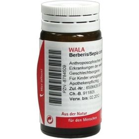 BERBERIS/SEPIA COMP, 20 G – PZN 8784509 из Германии