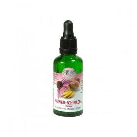 Bio Ingwer-EchinaceaTropfen, 50 ML – PZN 13973661 из Германии