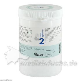 Biochemie Pflüger Nr. 2 Calcium phosphoricum D 6, 4000 ST – PZN 6318803 из Германии