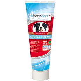 bogadent DENTAL Creme MINT Vet, 100 G – PZN 9237979 из Германии